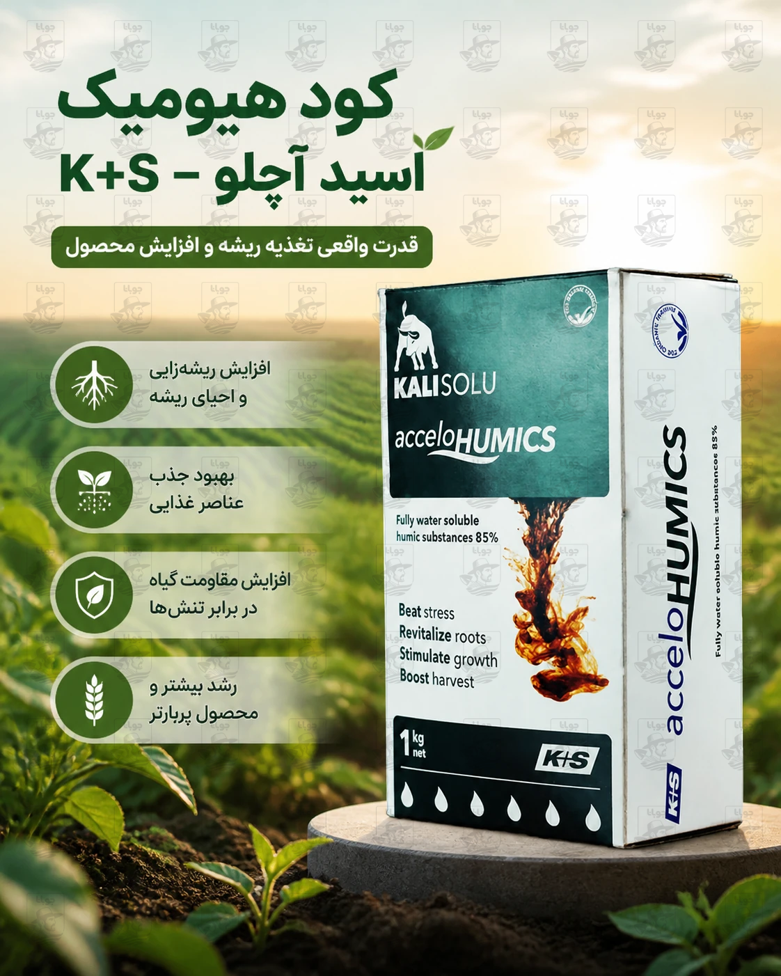 کود تقویتی هیومیک اسید آچلو هیومیک پودر K+S آلمان یک کیلو جعبه
