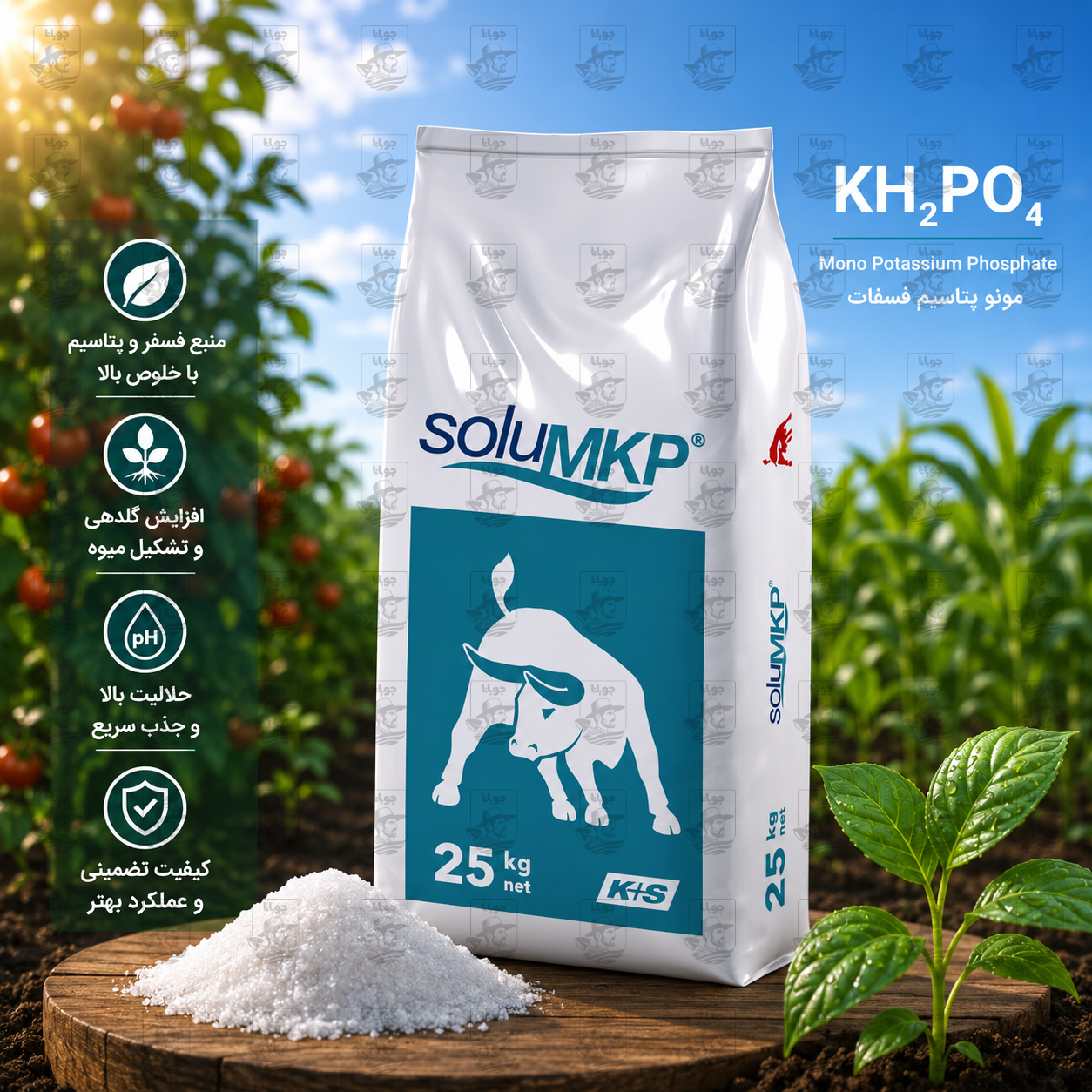 کود تقویتی مونو پتاسیم فسفات K+S آلمان پودر 25 کیلوگرم کیسه