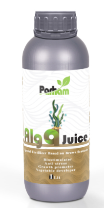 کود تقویتی جلبک دریایی آلگاجویس Algajuice پرهام 1 لیتر
